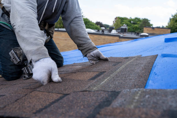 Best Local Roofing Companies  in Alderwood Manor, WA