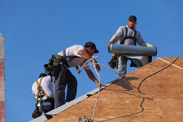 Best New Roof Installation  in Alderwood Manor, WA